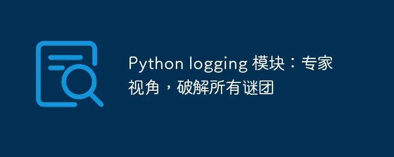 python logging 模块：专家视角，破解所有谜团