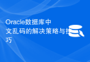 Oracle数据库中文乱码的解决策略与技巧