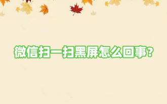 WeChat에서 스캔할 때 검은 화면에 무슨 문제가 있나요? WeChat이 검은 화면을 스캔하는 이유