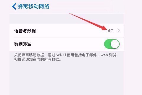 갑자기 Apple 휴대폰의 4G 네트워크를 사용할 수 없습니다.