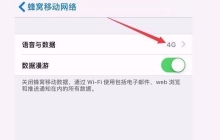 苹果手机4g网络突然用不了