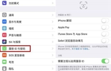 苹果15app下载怎么使用面容