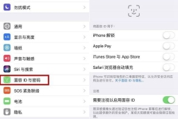 苹果15app下载怎么使用面容