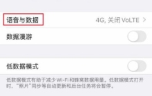 苹果手机volte功能在哪