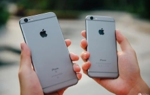 苹果手机卡死机屏幕动不了怎么办