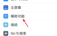 苹果手机浮球在哪里设置