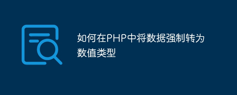 PHP에서 데이터를 숫자 유형으로 강제하는 방법