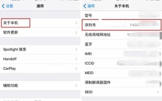 So überprüfen Sie das Aktivierungsdatum auf einem Apple-Mobiltelefon