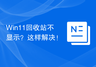 Win11 휴지통이 표시되지 않습니까? 이것이 해결책입니다!