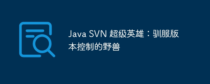 Java SVN 超级英雄：驯服版本控制的野兽