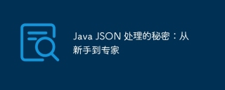 java json 处理的秘密:从新手到专家