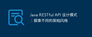 Java RESTful API 设计模式:探索不同的架构风格