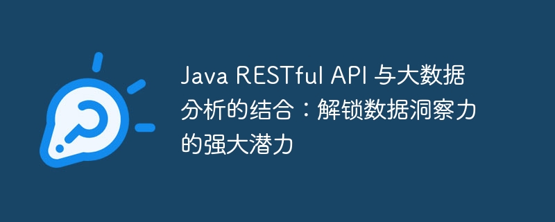 Java RESTful API 与大数据分析的结合：解锁数据洞察力的强大潜力