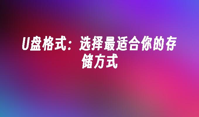 U ディスク形式: 最適な保存方法を選択してください