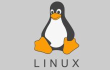如何检查Linux中进程运行了多长时间