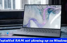 已安装的内存未显示在Windows 11上