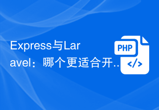 Express と Laravel: プロジェクトの開発にはどちらが適していますか?