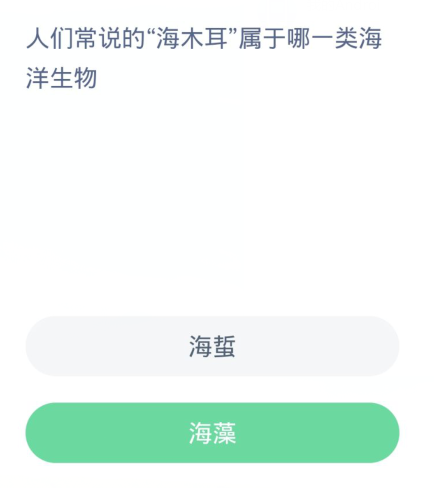 蚂蚁森林神奇海洋3月10日：人们常说的海木耳属于哪一类海洋生物