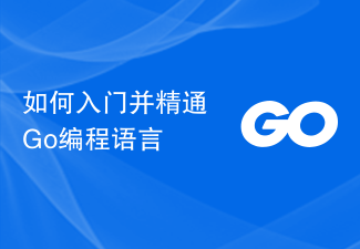 How to get started and become proficient in the Go programming language