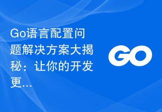 Go语言配置问题解决方案大揭秘：让你的开发更高效
