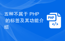 五种不属于 PHP 的标签及其功能介绍