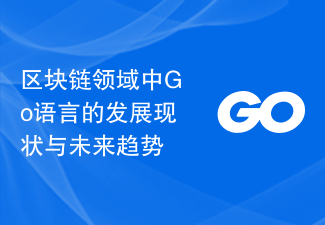 区块链领域中Go语言的发展现状与未来趋势