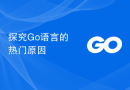 探究Go语言的热门原因