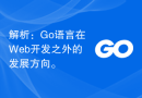解析：Go语言在Web开发之外的发展方向。