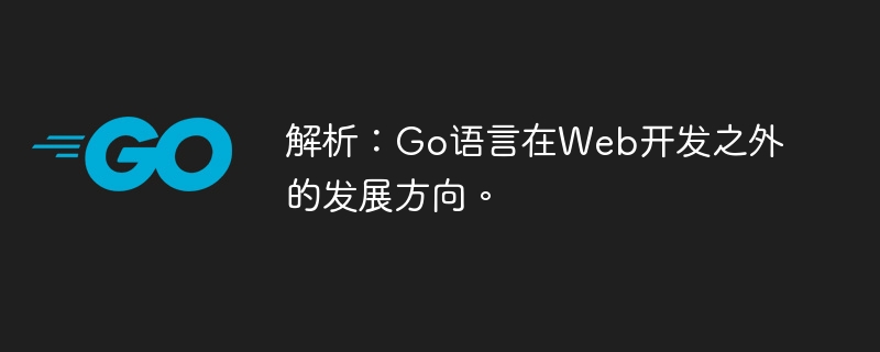 分析: Web 開発以外の Go 言語の開発方向。