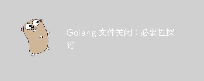 Golang 文件关闭：必要性探讨-Golang-