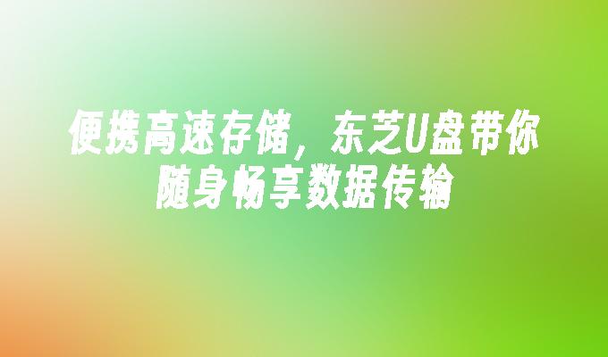 便攜高速存儲，東芝U盤帶你隨身享受數據傳輸