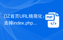 DZ首页URL精简化：去掉index.php