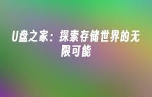 U盘之家：探索存储世界的无限可能
