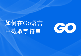 How to intercept a string in Go language