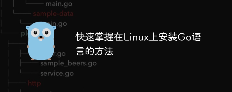 Linux에 Go 언어를 설치하는 방법을 빠르게 익히세요.