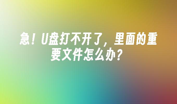 긴급한! U 디스크를 열 수 없습니다. 안에 있는 중요한 파일은 어떻게 해야 합니까?