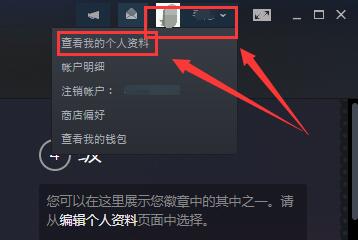 Steam 계정의 17자리 ID 코드를 확인하는 방법은 무엇입니까? 스팀 계정 17자리 ID 코드 확인하는 방법