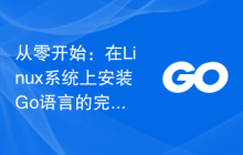 从零开始:在Linux系统上安装Go语言的完整指南