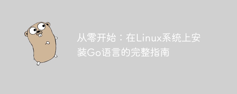 ゼロから始める: Linux システムに Go 言語をインストールするための完全ガイド