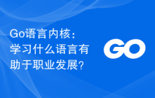 Go语言内核：学习什么语言有助于职业发展？