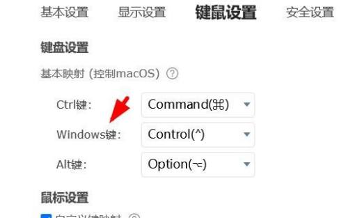 ToDesk怎麼配置Windows鍵？ ToDesk配置Windows鍵方法