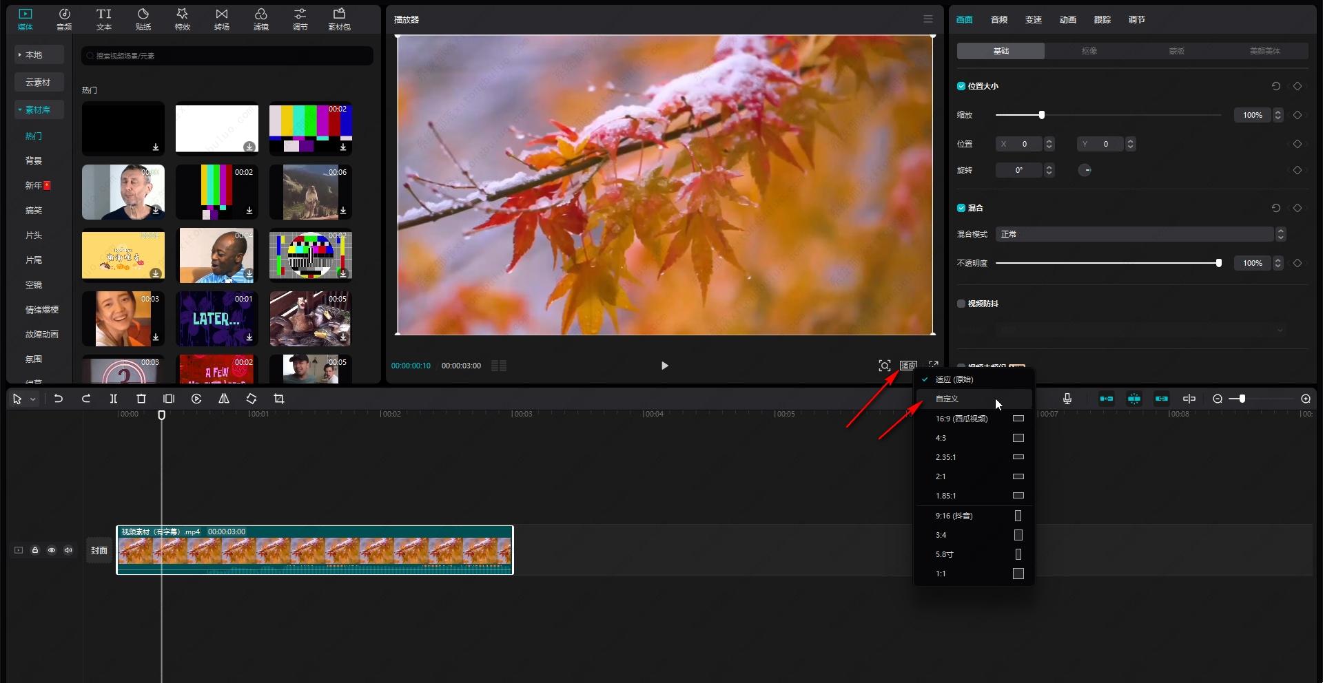 How to resize the video clip in the computer version? How to resize video with clipping