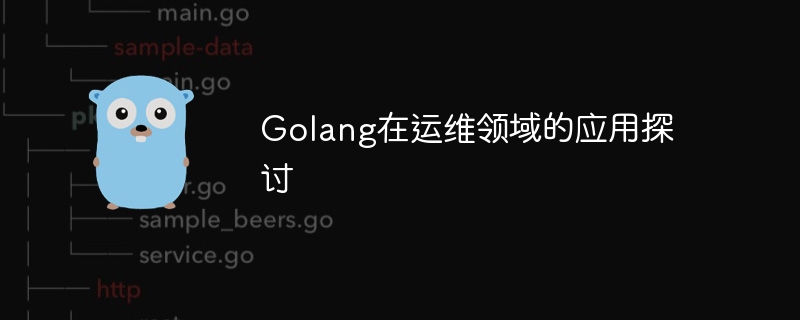 운영 및 유지보수 분야에서 Golang 적용에 대한 논의