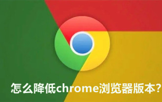 怎么降低chrome浏览器版本?chrome回到之前版本的操作方法