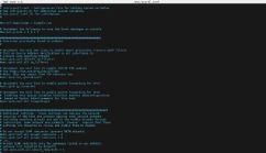 Linux怎么禁用ipv6