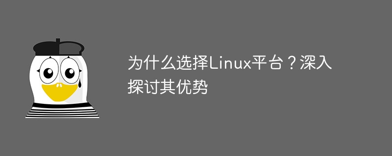 Linux 플랫폼을 선택하는 이유는 무엇입니까? 장점을 자세히 살펴보세요