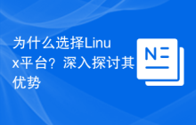 为什么选择Linux平台？深入探讨其优势