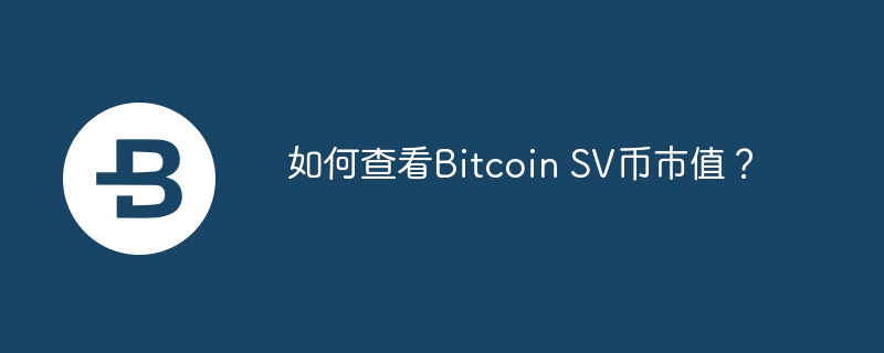 如何查看Bitcoin SV币市值？