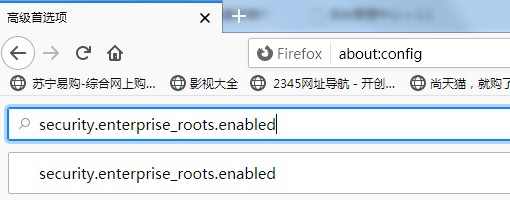 What should I do if Firefox shows that the link is not secure?