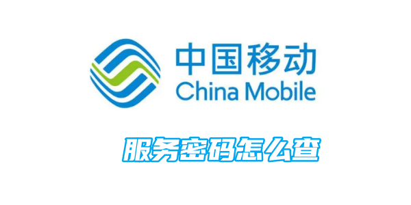 So überprüfen Sie das Passwort für den China Mobile-Dienst